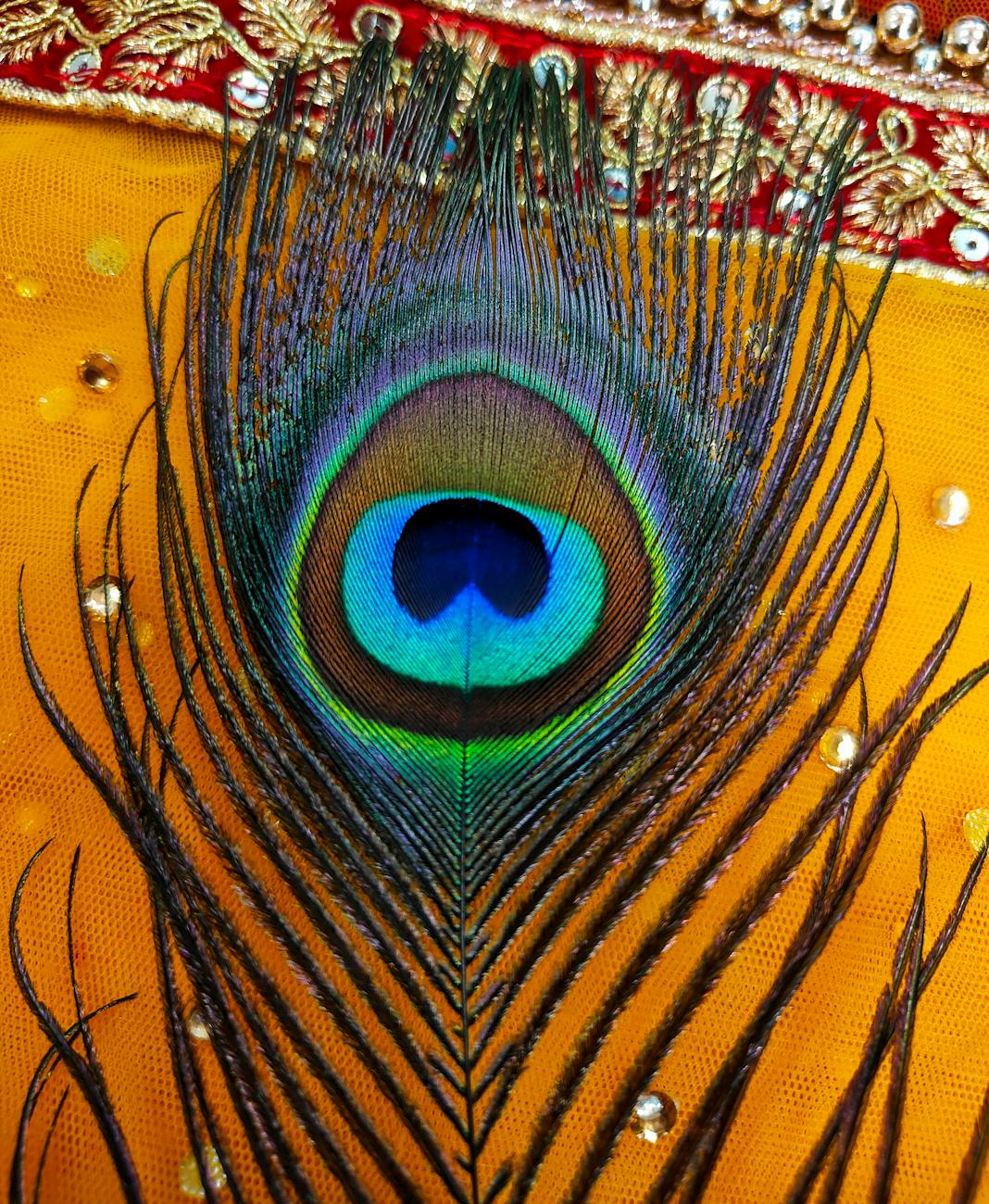peacock feather on decorated fabric background