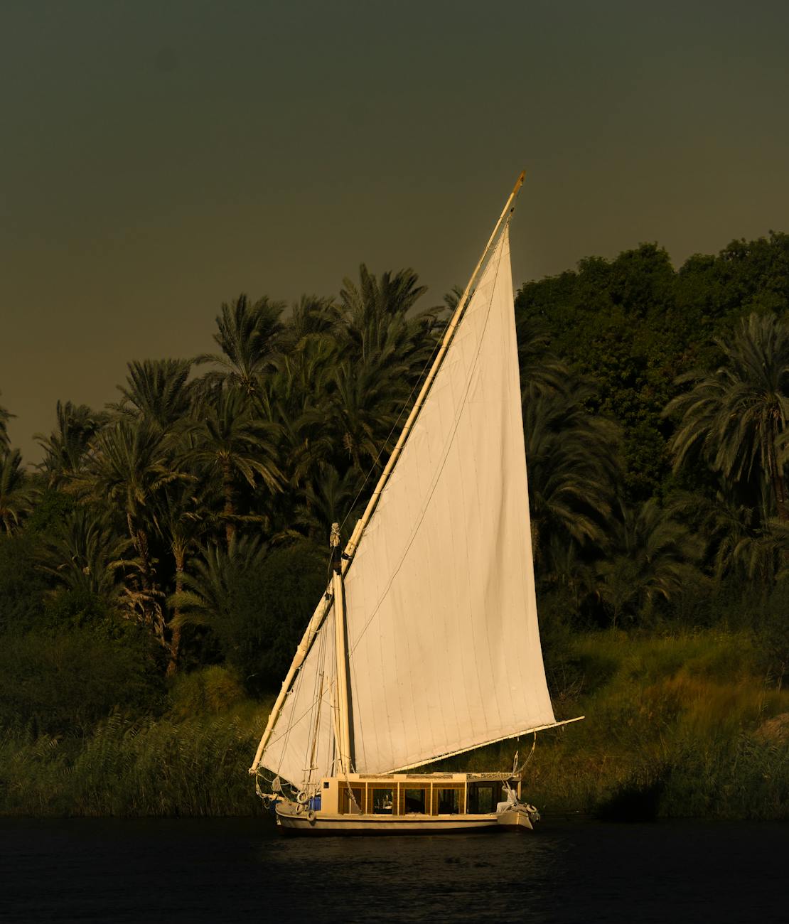 traditional felucca sailing on the nile river